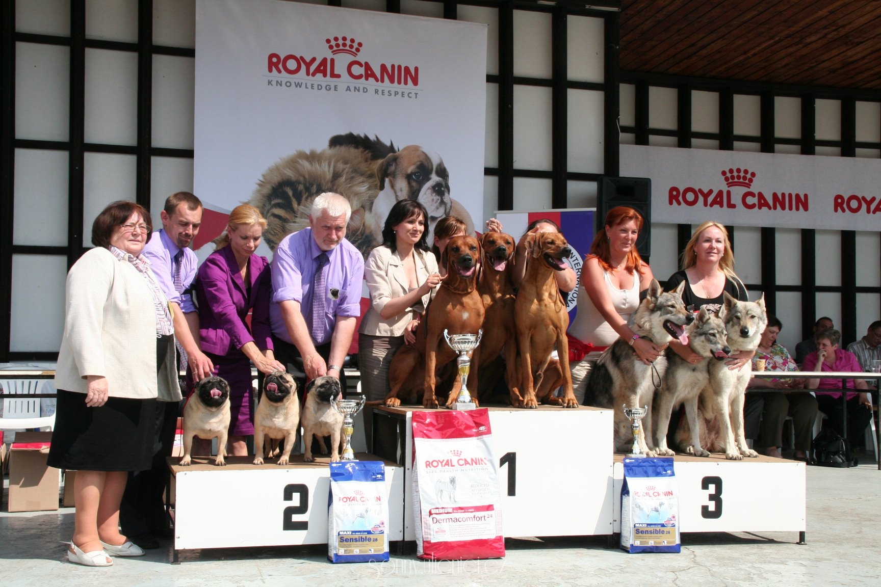 242456_1703425835382_1530066741_31317781_2571815_o